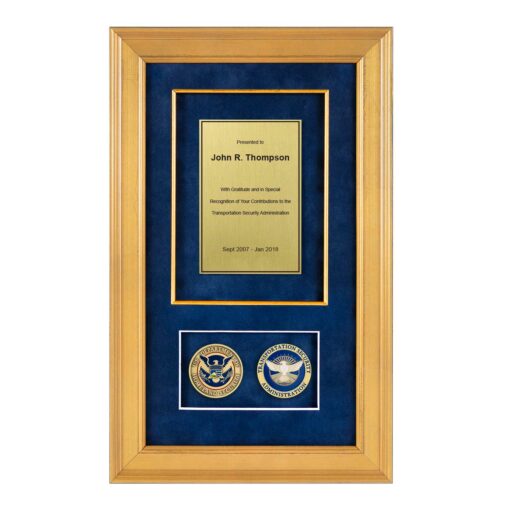 TSA Shadow Box Award gold frame