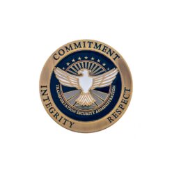 brass TSA core values pin